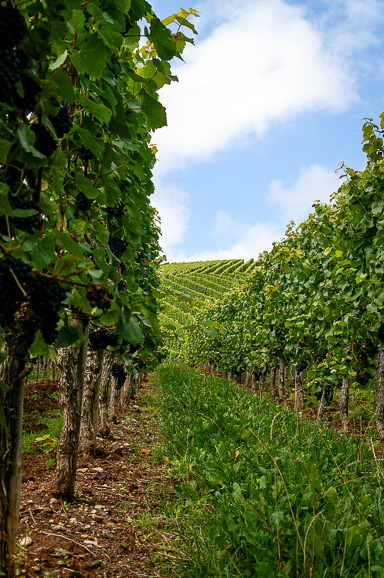 Duitsland 2009 Saarburg