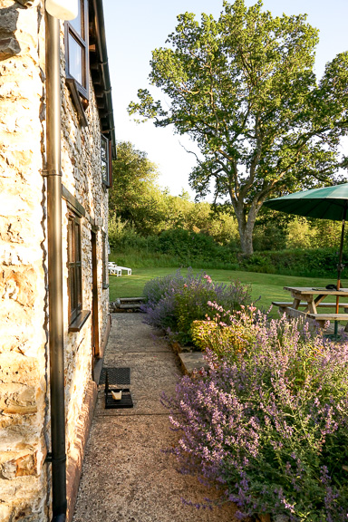 Engeland 2017 - Devon Dorset