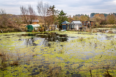 Nederland 2024 Egmond aan Zee